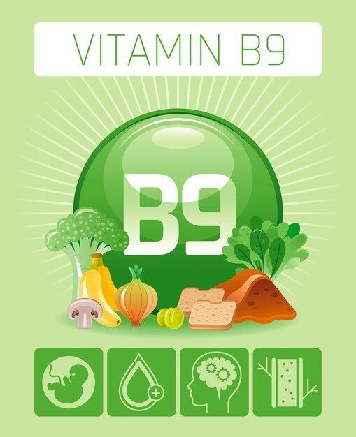 Vitamin B9 (Folic Acid)